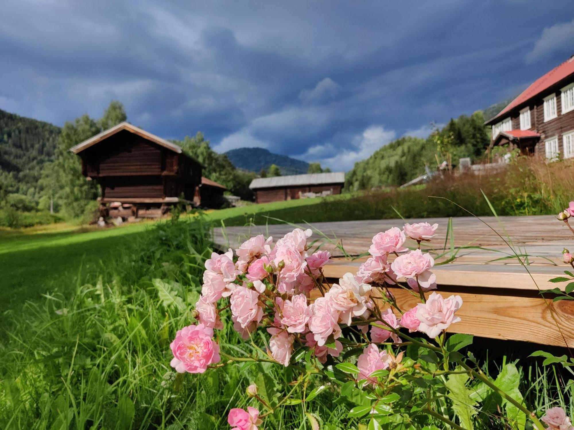 Sevletunet B&B And Cabins Rodberg Exterior photo
